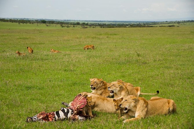 10 days family safari Tanzania - Arrival in Arusha and the first night