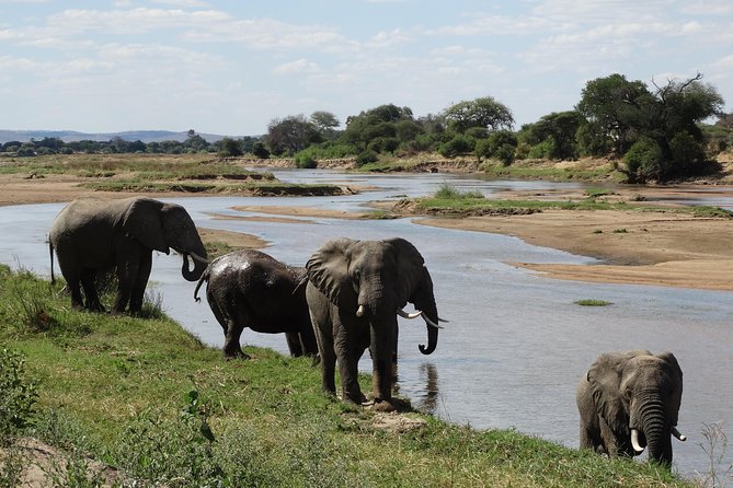 10 days Safari to Nyerere NP, Ruaha NP, Udzungwa NP and Mikumi NP + Isimila Site - Key points at a glance