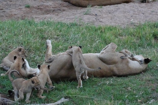10 days Safari to Nyerere NP, Ruaha NP, Udzungwa NP and Mikumi NP + Isimila Site - Day 3: Walking safari and the road toward Morogoro