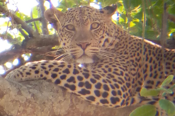 10 days Safari to Nyerere NP, Ruaha NP, Udzungwa NP and Mikumi NP + Isimila Site - Day 4: Through Iringa to Ruaha