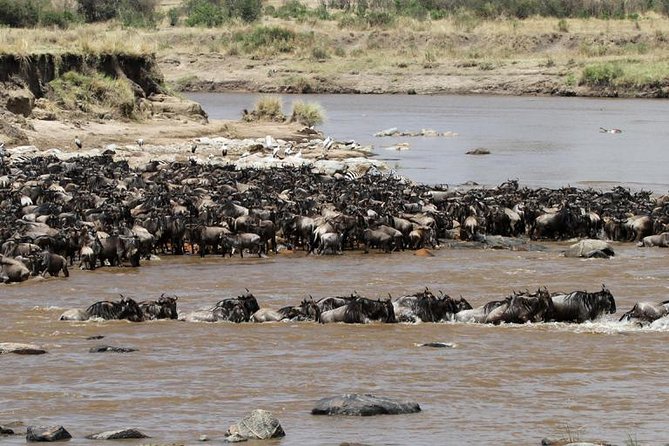 12 Days Amazing Tanzania Wildlife and Cultural Experience - Day 11: Lake Manyara changes the rhythm again
