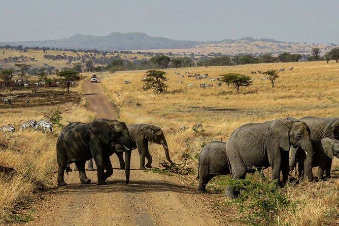 12 Days Safari Tour around Mt Kilimanjaro off the beaten - The return to Arusha and a long road day