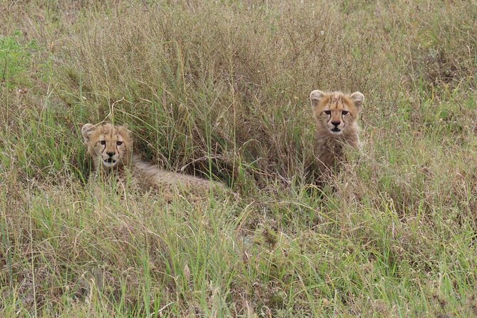 12 Days Safari Tour around Mt Kilimanjaro off the beaten - Lake Natron, Engare Sero, and a Maasai-led walk