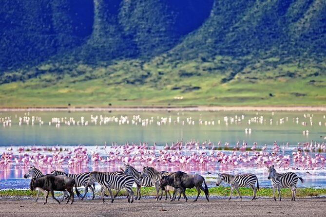 2 Day Budget Safari in Tarangire and Ngorongoro From Arusha - What $500 per person really covers