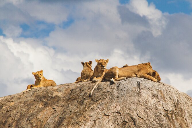 2-Day Private Guided Tour to Tarangire and Ngorongoro - Leaving Arusha at 8:00 in the morning