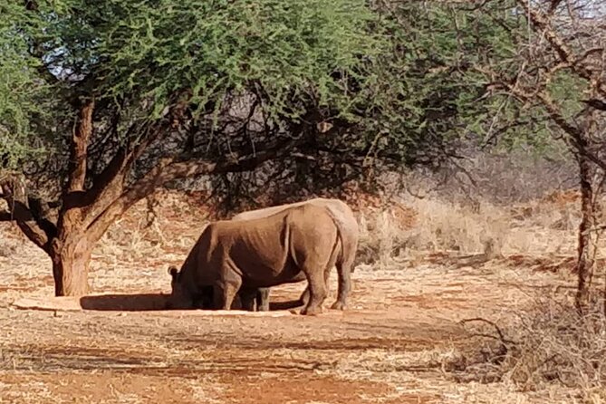2-Day Private Guided Tour to Tarangire and Ngorongoro - What the private format really gives you