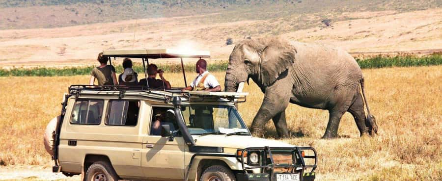 2-Day Private Luxury Safari from Zanzibar with Flights - What this Zanzibar safari is really offering