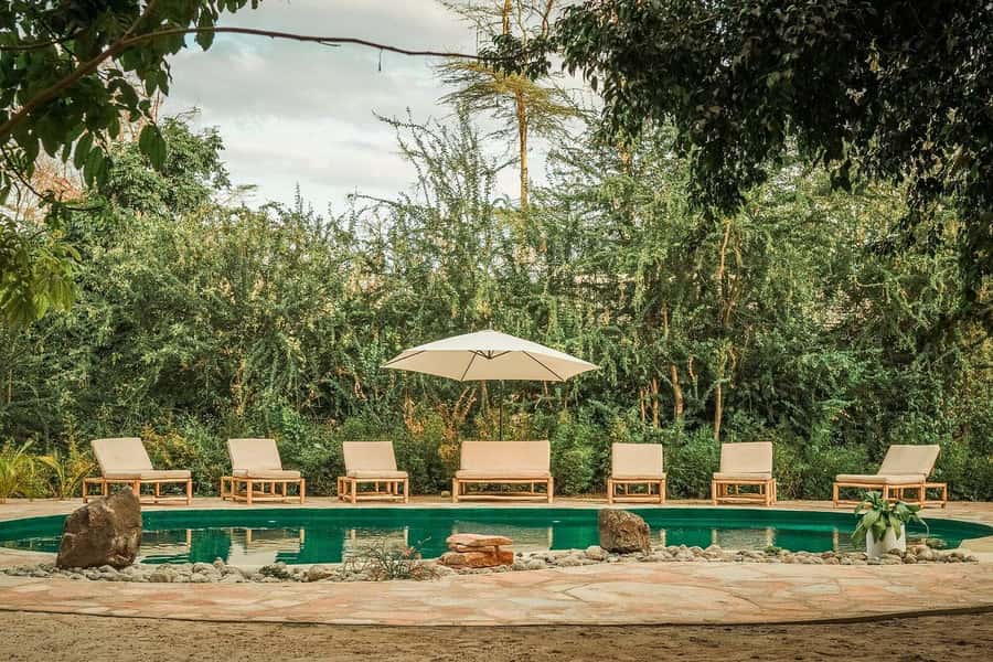 2-Day Private Luxury Safari from Zanzibar with Flights - Tarangire National Park and its elephant country