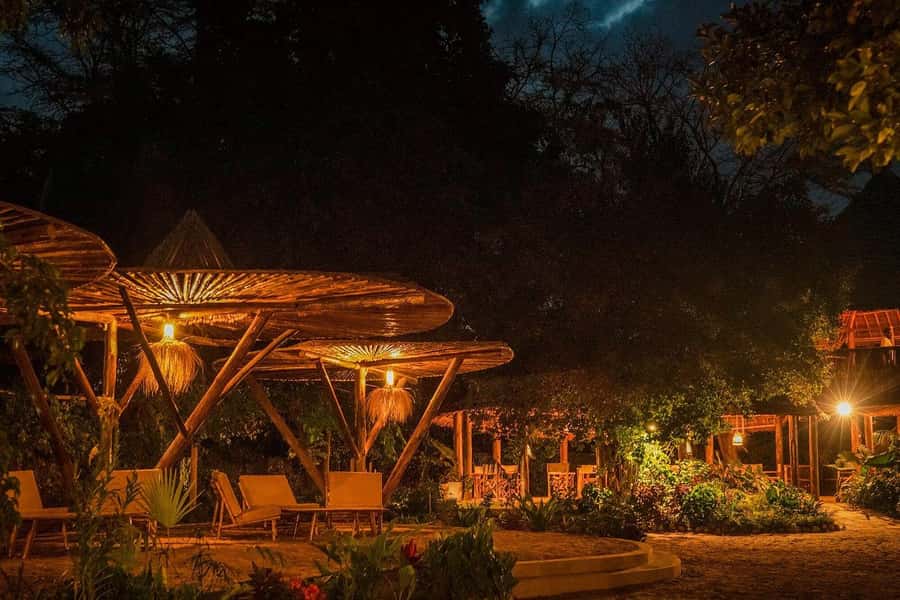 2-Day Private Luxury Safari from Zanzibar with Flights - A short night at Ngorongoro Marera Lodge