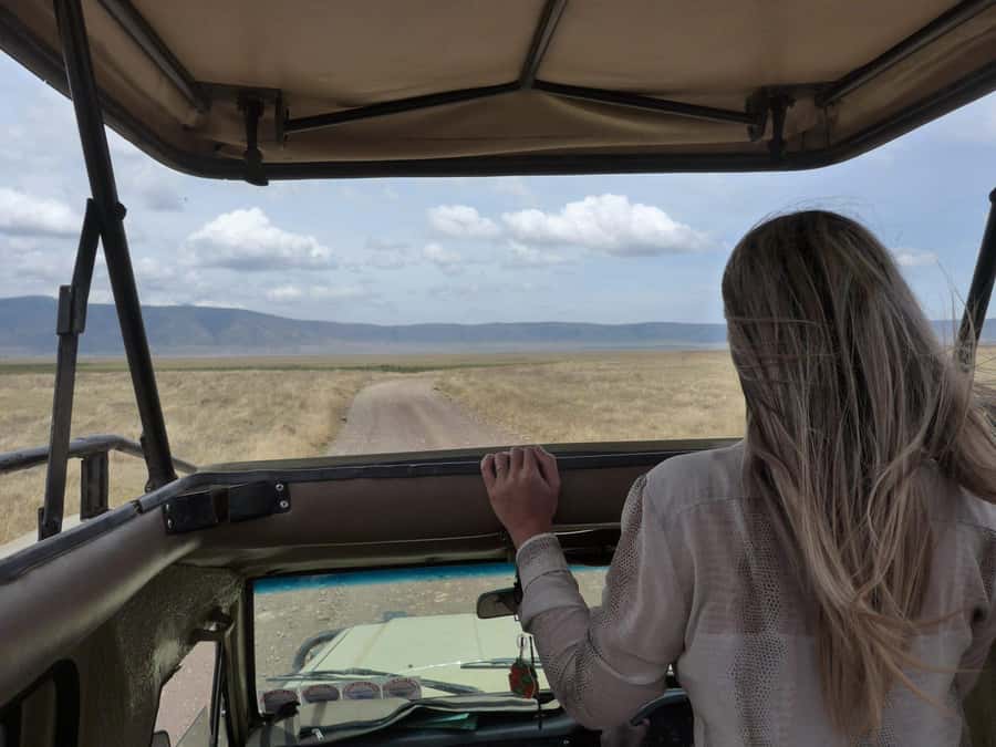 2-Day Private Luxury Safari from Zanzibar with Flights - Private guiding, languages, and communication