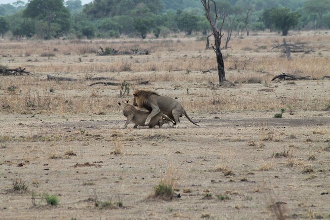 2-Day Private Mikumi National Park Tour with Pickup - Key points at a glance