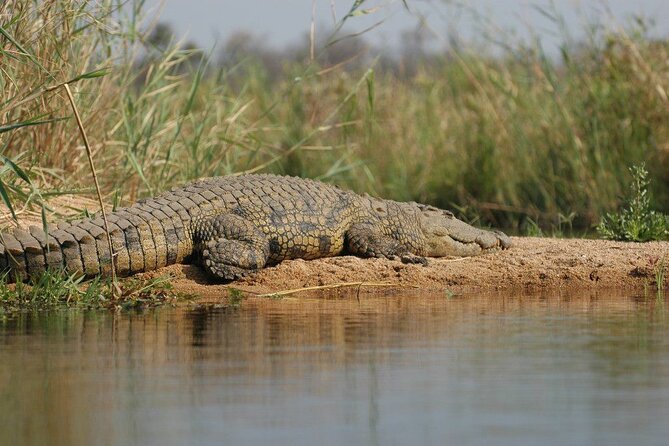 2-Day Private Mikumi National Park Tour with Pickup - One night near the park
