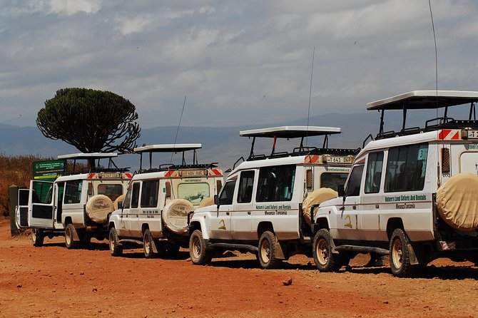 2 Day Serengeti Safari Experience from Mwanza - A full day of game viewing in Serengeti National Park