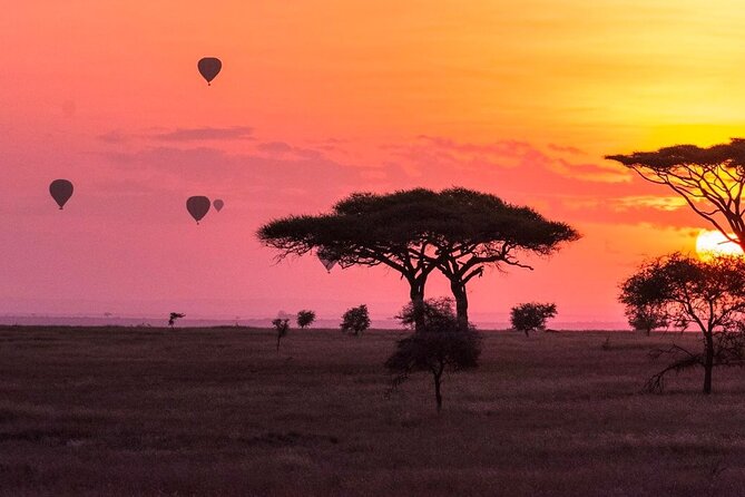2-Day Sublime Safari to Tarangire and Ngorongoro Safari - Two parks, two very different wildlife experiences