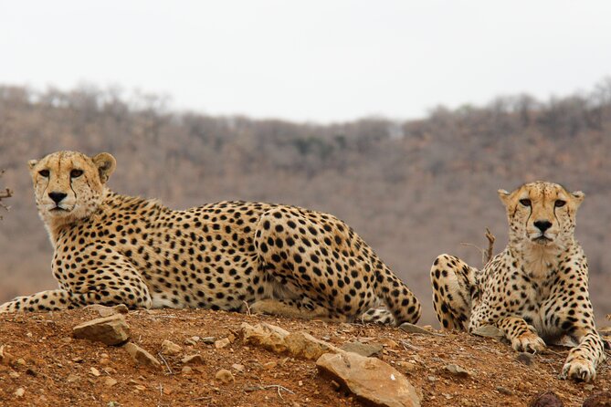 2-Day Sublime Safari to Tarangire and Ngorongoro Safari - What the $540 price includes