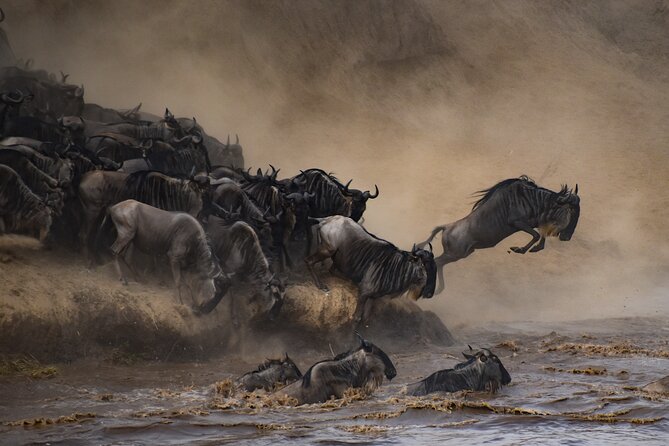 2-Day Sublime Safari to Tarangire and Ngorongoro Safari - Day one: the road to Tarangire and its elephant country