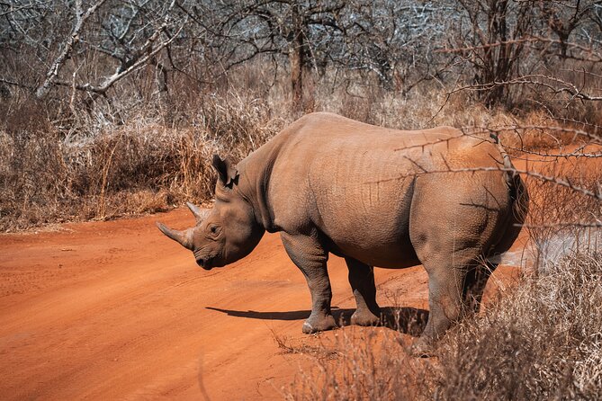 2 Day Tanzania Safari in Tarangire and Ngorongoro Crater - Private touring and the value of the $1,310 price