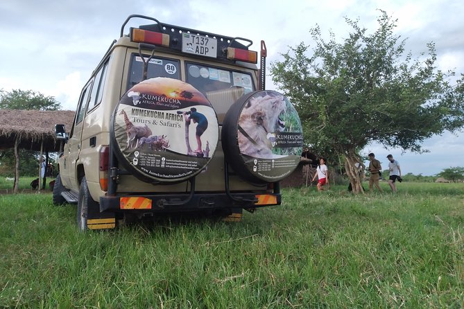 2 Day Wildlife Experience and Masai Culture Mikumi Park - Sunrise brings a different view