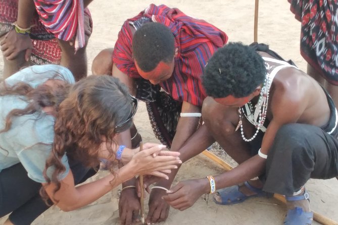 2 Day Wildlife Experience and Masai Culture Mikumi Park - Meals, lodging, and what to clarify