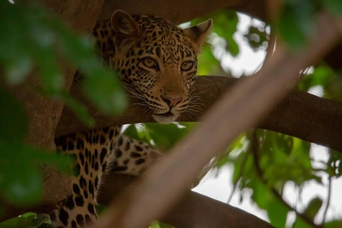 2 Day Wildlife Experience and Masai Culture Mikumi Park - The early road from Dar es Salaam