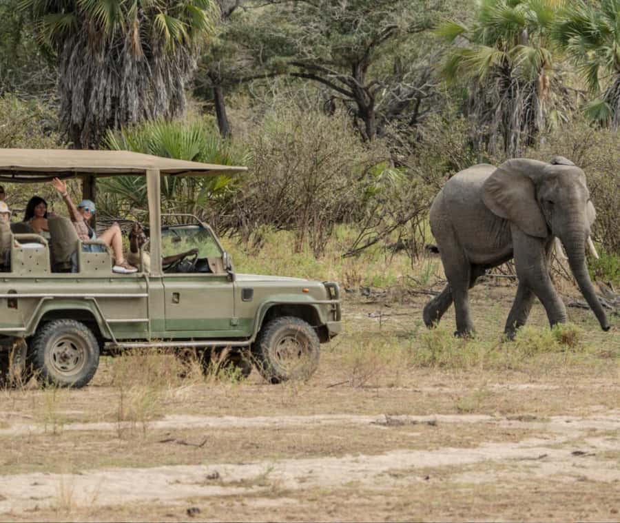 2 Day Zanzibar to Nyerere NP (Selous GR) By Flight - What to expect after landing at Mtemere Airstrip