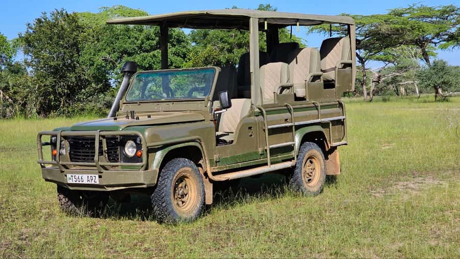 2 Day Zanzibar to Nyerere NP (Selous GR) By Flight - The guide, vehicle, and private-group advantage