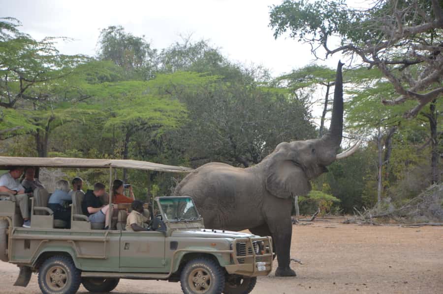 2 Day Zanzibar to Nyerere NP (Selous GR) By Flight - A full-day game drive with a packed lunch