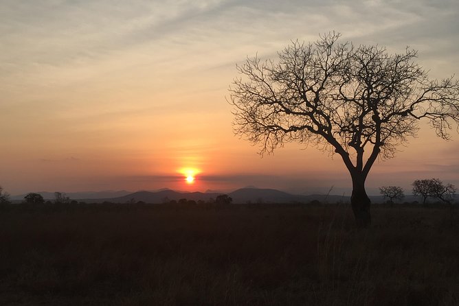 2 Days 1 Night Mikumi National Park - How the private guide changes the experience