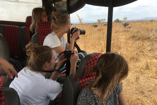 2 Days 1 Night Mikumi National Park - Who should choose this two-day Mikumi safari