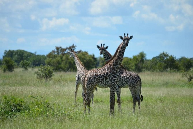 2 Days 1 Night Mikumi National Park from Dar es salaam - What the $670 price really includes