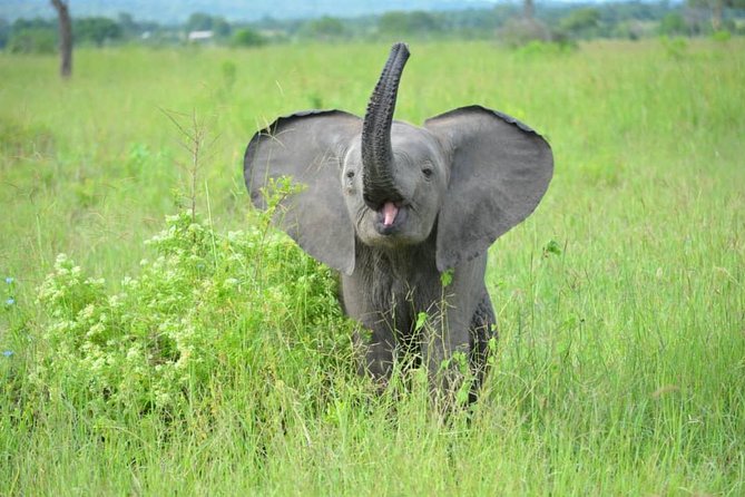 2 Days 1 Night Mikumi National Park from Dar es salaam - The seven-hour road from Dar es Salaam