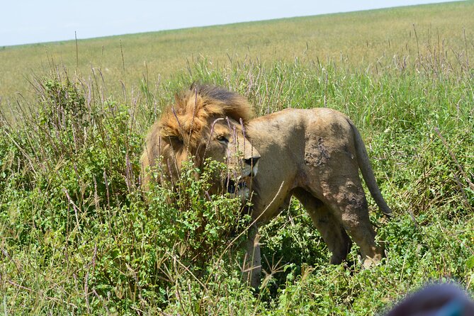 2 Days 1 Night Northern Joining Safari Private Tour - Food, comfort, and the small details that matter