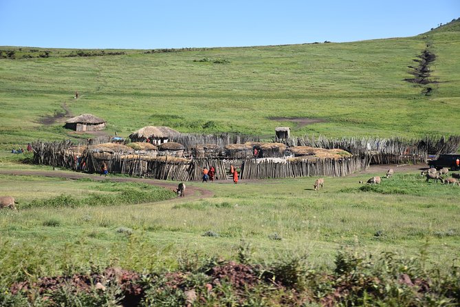 2 Days / 1 Night Tanzania Safari Tour - Leaving Arusha for Tarangire National Park