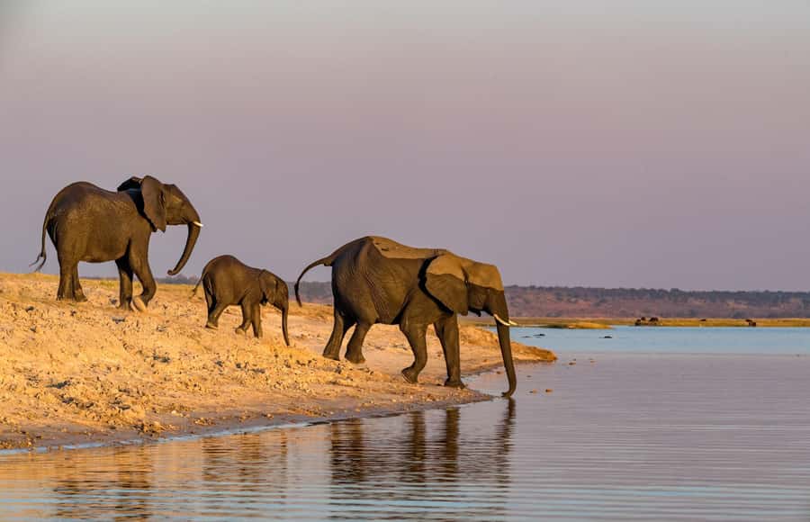 2 Days 1 Night Tarangire & Ngorongoro Crater - The overnight stay between the parks