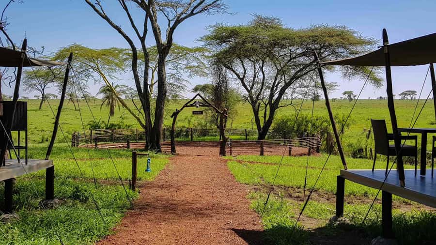 2 Days 1 Night Tarangire & Ngorongoro Crater - What the $730 price includes