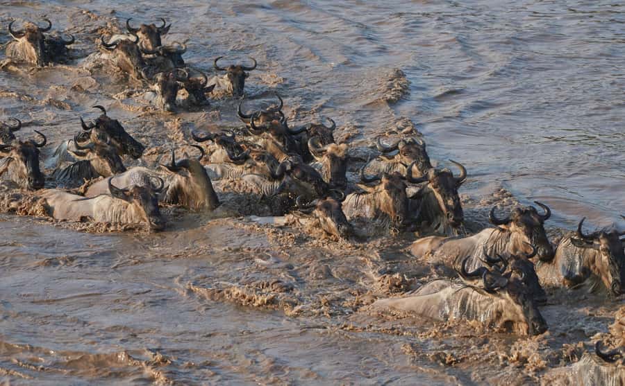 2 Days 1 Night Tarangire & Ngorongoro Crater - Day one: Arusha to Tarangire National Park