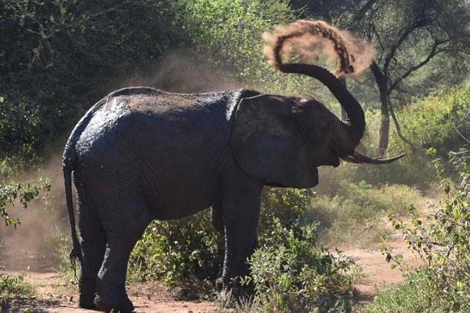 2 Days Africa Safari - Overnight arrangements and comfort