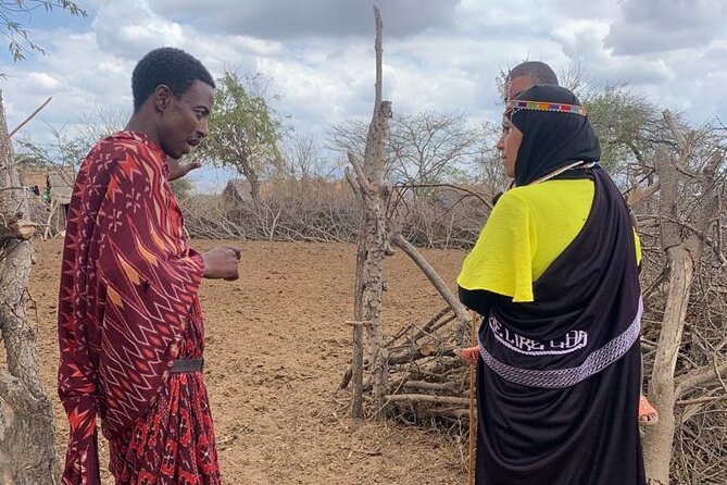 2 Days and 1 Night Mikumi Safari Private Tour - A visit to a Maasai village