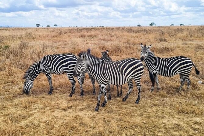 2 Days Best Safari to Mikumi National Park - Why Mikumi works for a short safari from Dar es Salaam