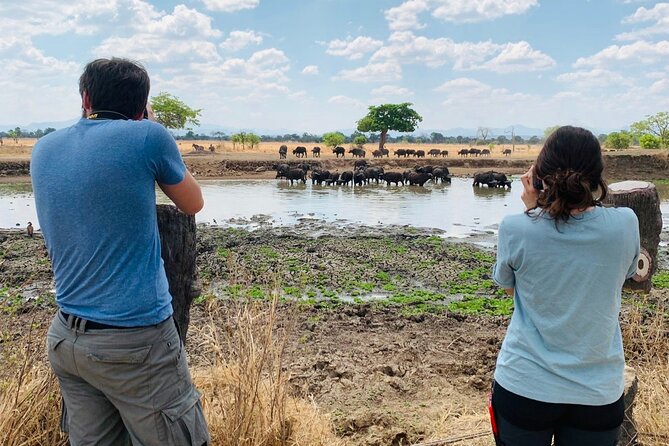 2 Days Best Safari to Mikumi National Park - Overnight lodging and meals