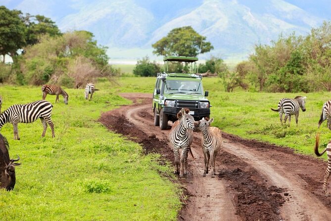 2 Days Camping Group Joining Tarangire Ngorongoro Crater Safari - Twiga Lodge and the value of one night