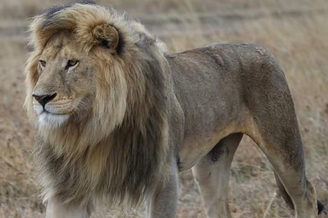 2 Days Camping Safari, Lake Manyara & Ngorongoro Crater - Why this two-day safari works