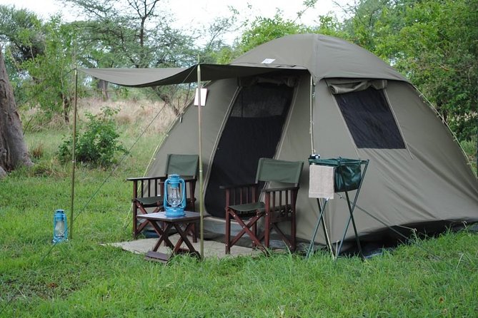 2 Days Camping Safari, Lake Manyara & Ngorongoro Crater - Lake Manyara and its unusual mix of habitats