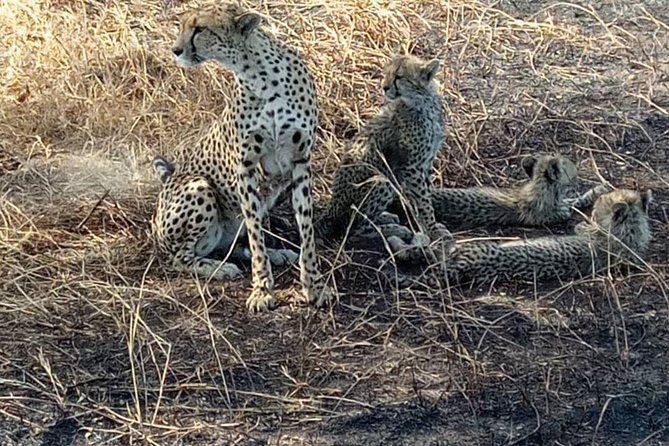 2 Days Camping Safari, Lake Manyara & Ngorongoro Crater - Descending into Ngorongoro Crater