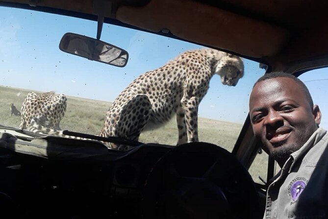 2 Days Group Joining Camping Safari Tarangire Park and Ngorongoro Crater - Day one: elephants and baobabs in Tarangire