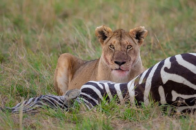 2 Days Joined Group Tarangire and Ngorongoro Crater National Park - The small-group setup and your guide