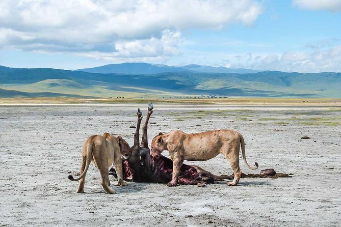 2 Days Joined Group Tarangire and Ngorongoro Crater National Park - What the early start and overnight stay mean