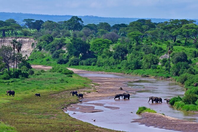 2 days Majestic Tanzania safari Tarangire and Ngorongoro Crater - Two parks, two very different safari moods