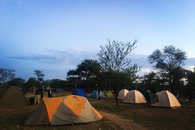2 days Mid Range Safari in Ngorongoro and Tarangire Big 5 Parks - Who will get the most from this safari