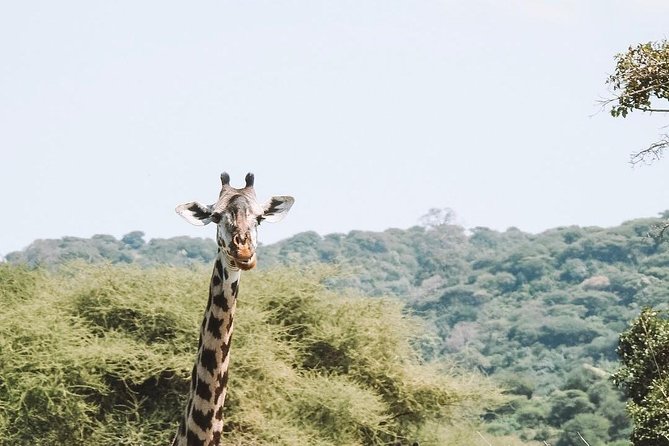 2 days Mid Range Safari in Ngorongoro and Tarangire Big 5 Parks - Camping for one night: what the price includes